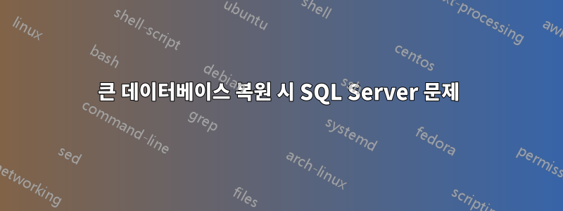 큰 데이터베이스 복원 시 SQL Server 문제