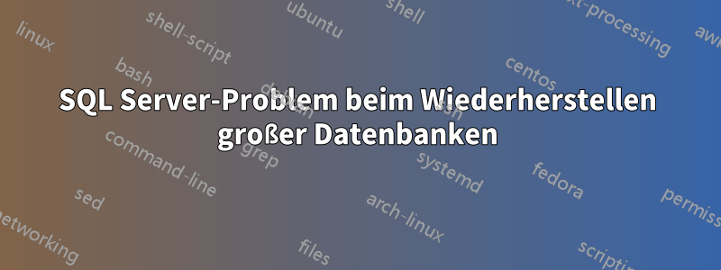 SQL Server-Problem beim Wiederherstellen großer Datenbanken