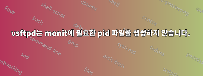 vsftpd는 monit에 필요한 pid 파일을 생성하지 않습니다.