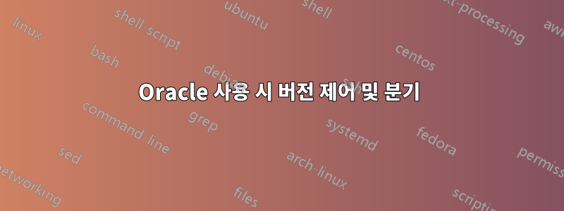 Oracle 사용 시 버전 제어 및 분기