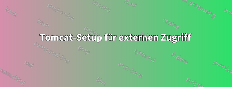 Tomcat-Setup für externen Zugriff