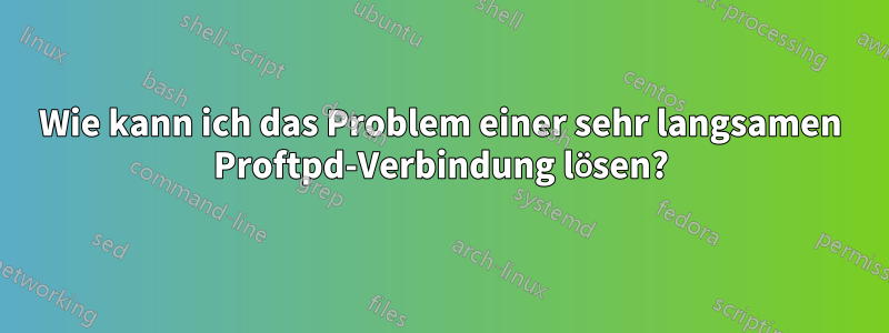 Wie kann ich das Problem einer sehr langsamen Proftpd-Verbindung lösen?