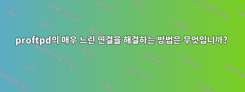 proftpd의 매우 느린 연결을 해결하는 방법은 무엇입니까?