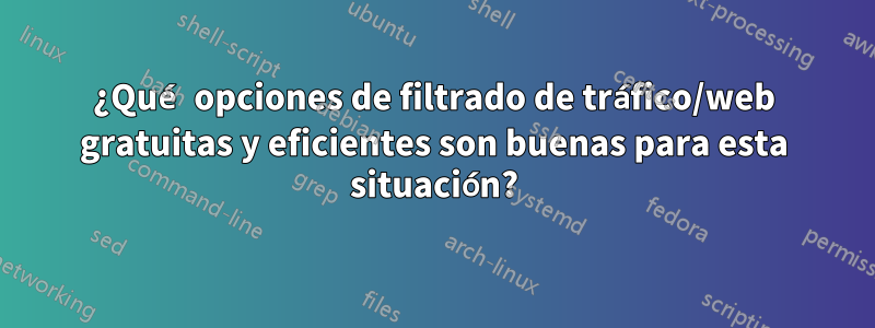 ¿Qué opciones de filtrado de tráfico/web gratuitas y eficientes son buenas para esta situación?