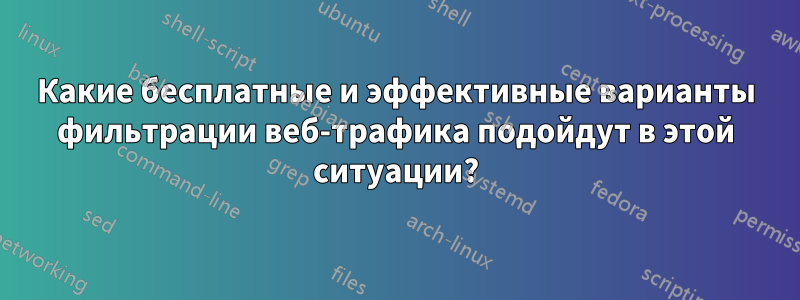 Какие бесплатные и эффективные варианты фильтрации веб-трафика подойдут в этой ситуации?