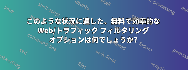 このような状況に適した、無料で効率的な Web/トラフィック フィルタリング オプションは何でしょうか?