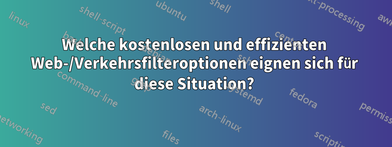 Welche kostenlosen und effizienten Web-/Verkehrsfilteroptionen eignen sich für diese Situation?