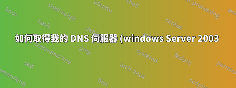 如何取得我的 DNS 伺服器 (windows Server 2003) 中的總記錄