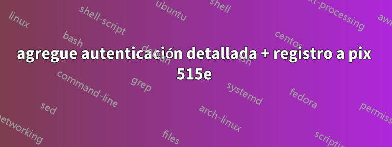 agregue autenticación detallada + registro a pix 515e