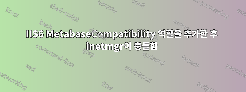 IIS6 MetabaseCompatibility 역할을 추가한 후 inetmgr이 충돌함