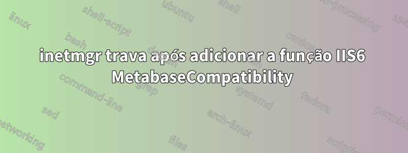 inetmgr trava após adicionar a função IIS6 MetabaseCompatibility