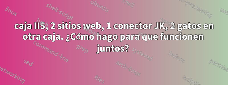 1 caja IIS, 2 sitios web, 1 conector JK, 2 gatos en otra caja. ¿Cómo hago para que funcionen juntos?