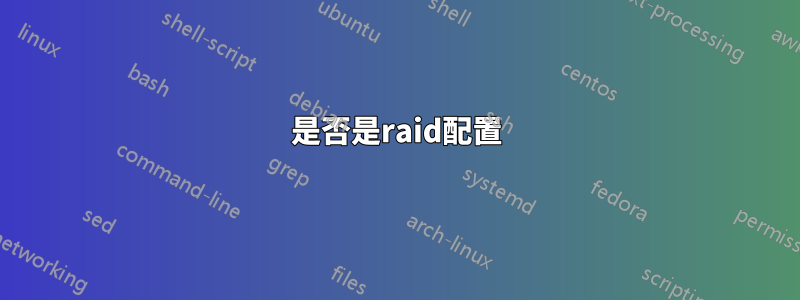 是否是raid配置