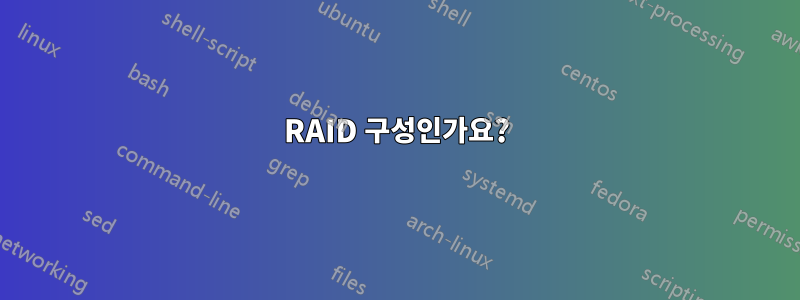 RAID 구성인가요?