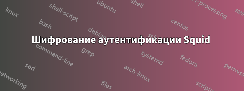 Шифрование аутентификации Squid