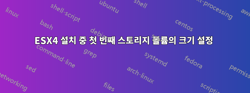 ESX4 설치 중 첫 번째 스토리지 볼륨의 크기 설정