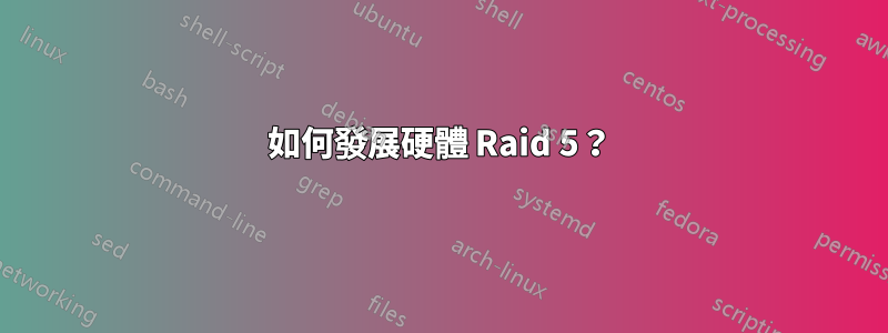 如何發展硬體 Raid 5？