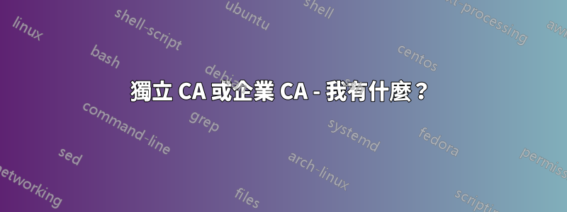獨立 CA 或企業 CA - 我有什麼？