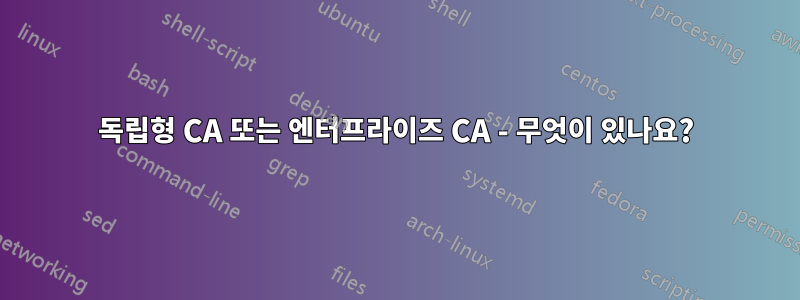 독립형 CA 또는 엔터프라이즈 CA - 무엇이 있나요?