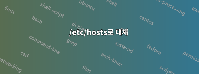 /etc/hosts로 대체