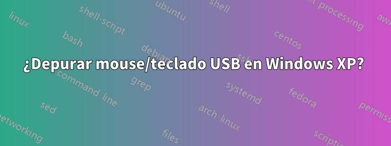 ¿Depurar mouse/teclado USB en Windows XP?