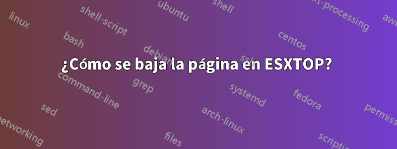 ¿Cómo se baja la página en ESXTOP?