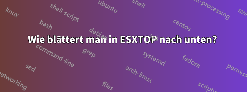 Wie blättert man in ESXTOP nach unten?