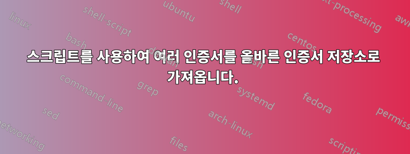 스크립트를 사용하여 여러 인증서를 올바른 인증서 저장소로 가져옵니다.