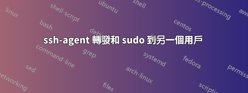 ssh-agent 轉發和 sudo 到另一個用戶