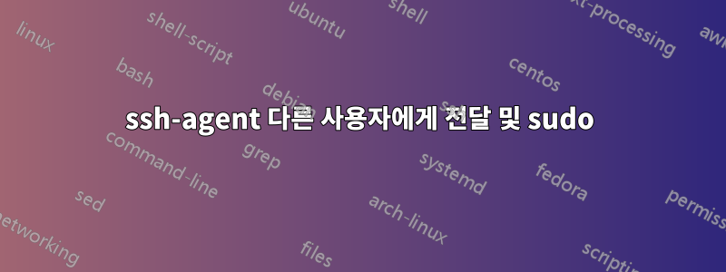 ssh-agent 다른 사용자에게 전달 및 sudo