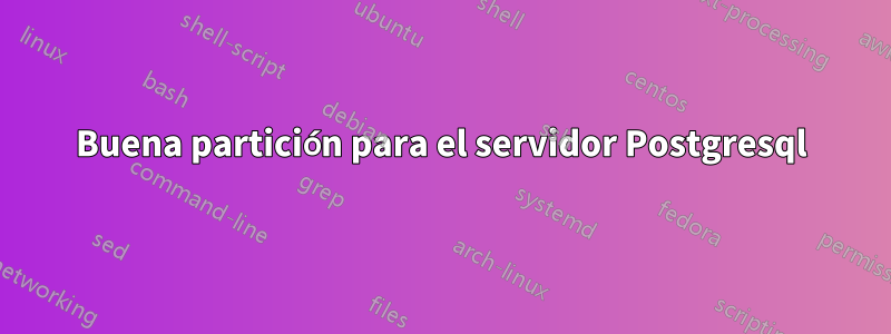Buena partición para el servidor Postgresql