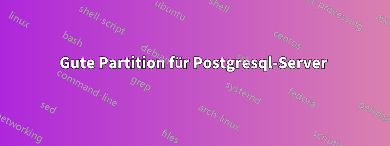 Gute Partition für Postgresql-Server