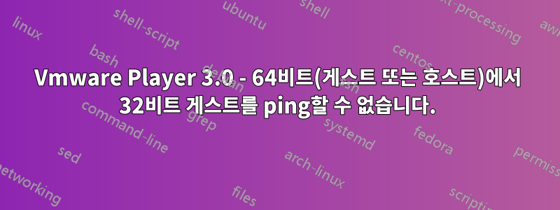 Vmware Player 3.0 - 64비트(게스트 또는 호스트)에서 32비트 게스트를 ping할 수 없습니다.
