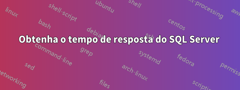 Obtenha o tempo de resposta do SQL Server