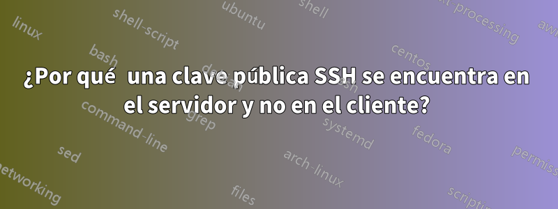 ¿Por qué una clave pública SSH se encuentra en el servidor y no en el cliente?