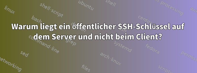 Warum liegt ein öffentlicher SSH-Schlüssel auf dem Server und nicht beim Client?
