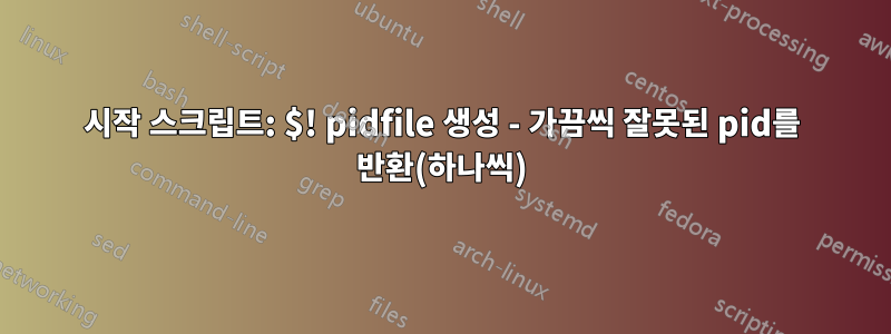 시작 스크립트: $! pidfile 생성 - 가끔씩 잘못된 pid를 반환(하나씩)