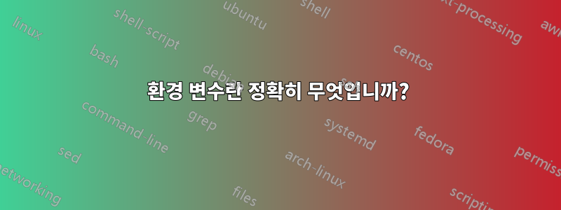 환경 변수란 정확히 무엇입니까?