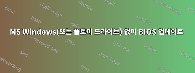MS Windows(또는 플로피 드라이브) 없이 BIOS 업데이트