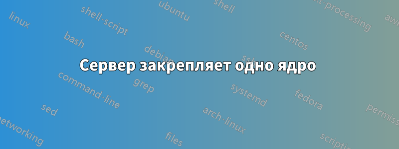 Сервер закрепляет одно ядро