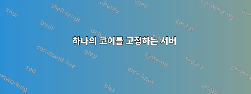 하나의 코어를 고정하는 서버