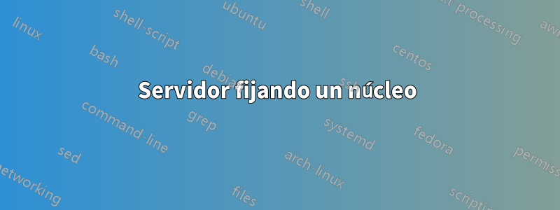 Servidor fijando un núcleo