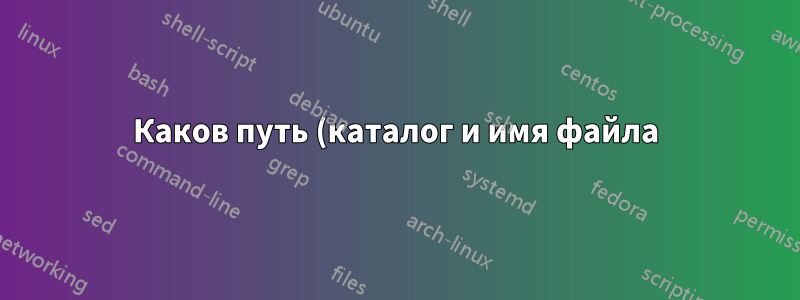 Каков путь (каталог и имя файла) файла конфигурации, используемого для DHCP-клиента (не сервера!)