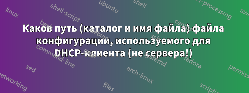 Каков путь (каталог и имя файла) файла конфигурации, используемого для DHCP-клиента (не сервера!)