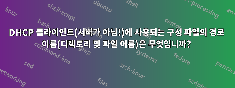 DHCP 클라이언트(서버가 아님!)에 사용되는 구성 파일의 경로 이름(디렉토리 및 파일 이름)은 무엇입니까?