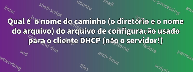 Qual é o nome do caminho (o diretório e o nome do arquivo) do arquivo de configuração usado para o cliente DHCP (não o servidor!)