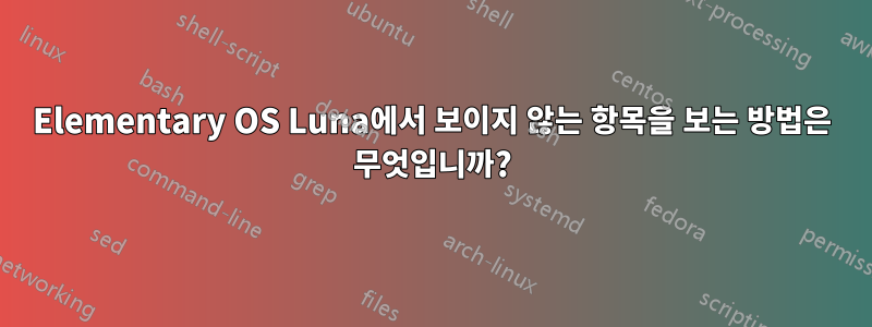 Elementary OS Luna에서 보이지 않는 항목을 보는 방법은 무엇입니까?