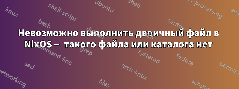 Невозможно выполнить двоичный файл в NixOS — такого файла или каталога нет