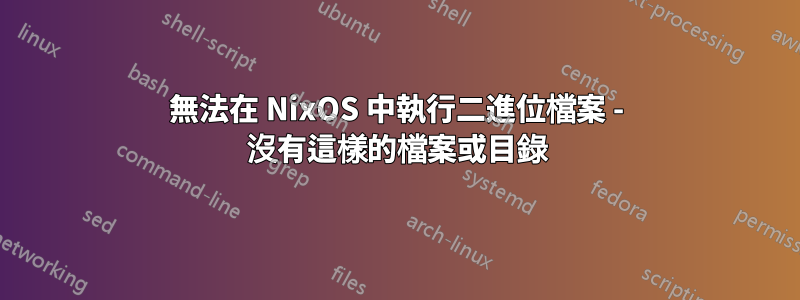 無法在 NixOS 中執行二進位檔案 - 沒有這樣的檔案或目錄