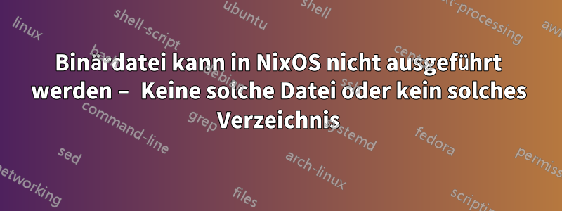 Binärdatei kann in NixOS nicht ausgeführt werden – Keine solche Datei oder kein solches Verzeichnis